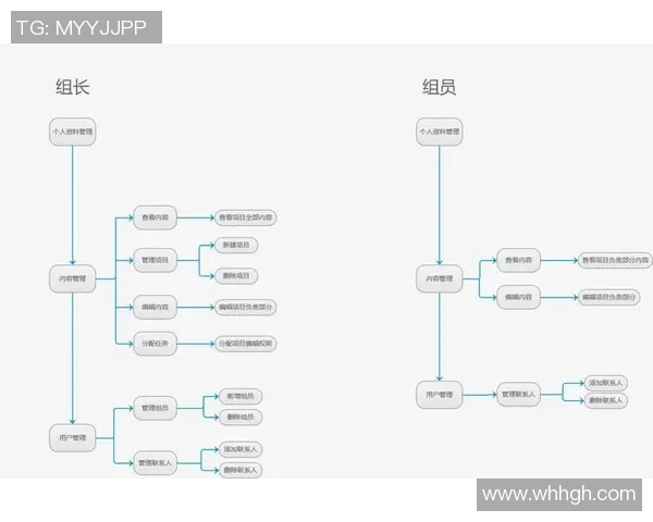 独家解析V5战队团队协作优势与不足的全面对比分析 独家解析V5战队团队协作优势与不足的全面对比分析