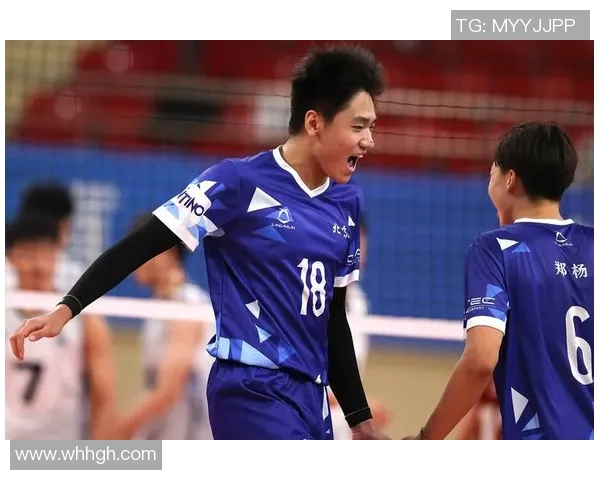 深度对话赵伟的排球人生与成长之路探索