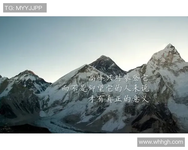 飞盘运动的崛起与李敏的成功秘诀深度对话 飞盘运动的崛起与李敏的成功秘诀深度对话