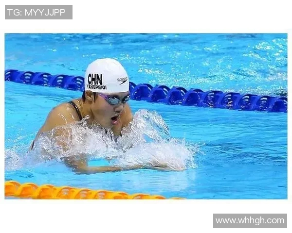 南京篮球队成长之路:从默默无闻到璀璨辉煌的奋斗历程 南京篮球队成长之路:从默默无闻到璀璨辉煌的奋斗历程