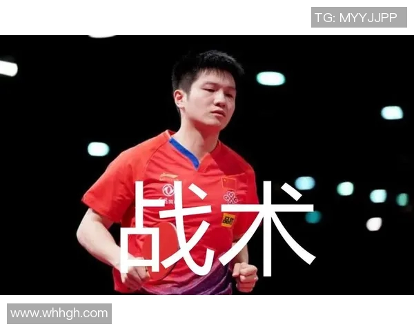 南京飞盘队速度对比深度解析与战术优势探讨 南京飞盘队速度对比深度解析与战术优势探讨