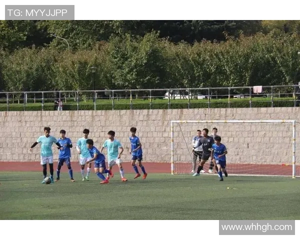 广州篮球队比赛经验分析及其对球队表现的影响研究 广州篮球队比赛经验分析及其对球队表现的影响研究