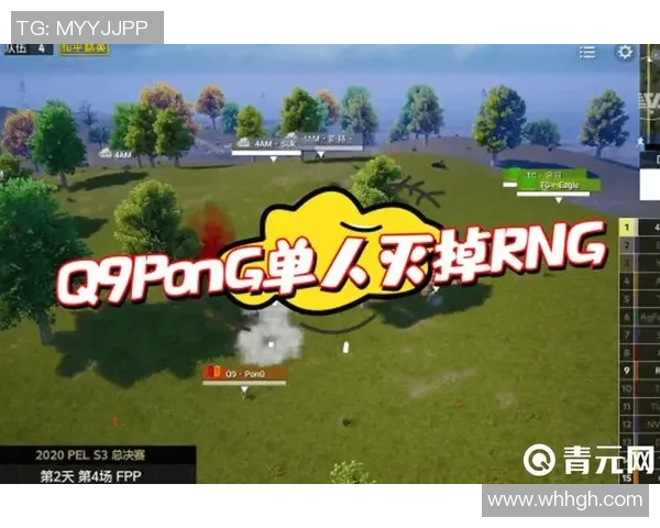 聚焦和平精英：RNG团队在速度与策略中的完美结合与挑战