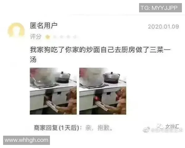 日本与特立尼达和的精彩对决分析与赛后点评