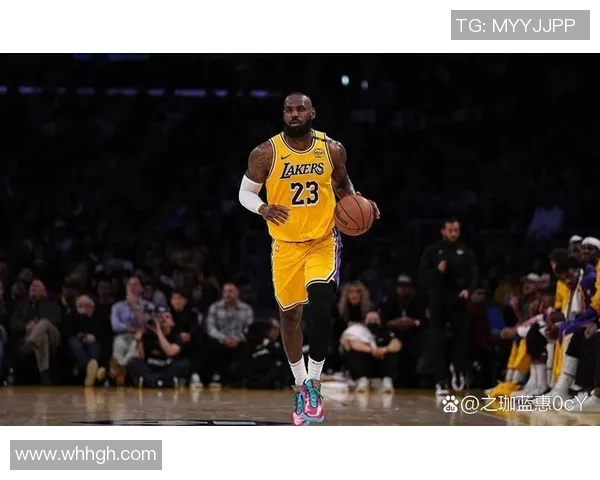 湖人对阵鹈鹕精彩图文直播全程回顾与赛况分析